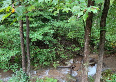 Cougar Cabin - Mountain Creek