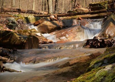 Photo of creek behind Maple Tree Cabin