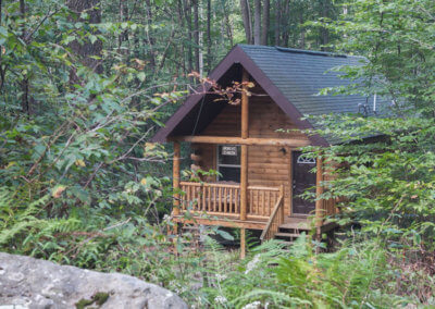 Bobcat - Cabin Exterior